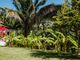 Thumbnail Country house for sale in The Palmetum, Upper Jessups, Nevis, Saint Kitts And Nevis