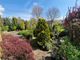 Thumbnail Detached bungalow to rent in Frenchfield Way, Penrith