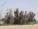 Thumbnail Land for sale in Athienou, Larnaca, Cyprus