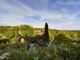 Thumbnail Cottage for sale in Quarry Road, Broseley, Shropshire.