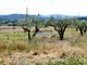 Thumbnail Farm for sale in 3Ha Agricultural Land, With 2 Houses, Belmonte E Colmeal Da Torre, Belmonte, Castelo Branco, Central Portugal