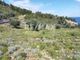 Thumbnail Land for sale in Marpounta, Sporades, Greece