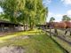 Thumbnail Equestrian property for sale in Elstead, Nr. Godalming, Surrey