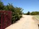 Thumbnail Farm for sale in L337, 4 Hectares Farm And House In Alentejo's Coast, Portugal, Portugal