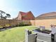 Thumbnail Detached house for sale in Wyles Way, Stamford Bridge, York