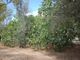 Thumbnail Land for sale in Casarano, Puglia, Italy