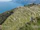 Thumbnail Farm for sale in Maiori, Campania, Italy