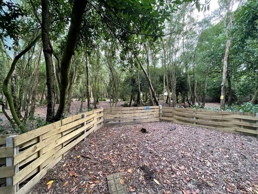 Additional image 5 of Land for saleForest Road, Colgate, Horsham RH12