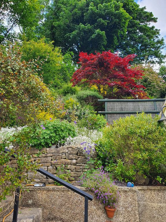 Property photo 1 of 19 Garden In Spring