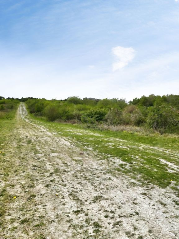Property photo 3 of 20 Land