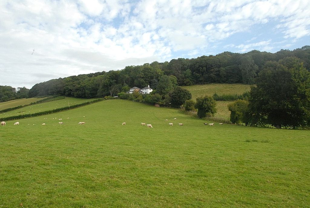 Additional image 36 of 4 bed detached house for saleLlanfyllin, Powys SY22
