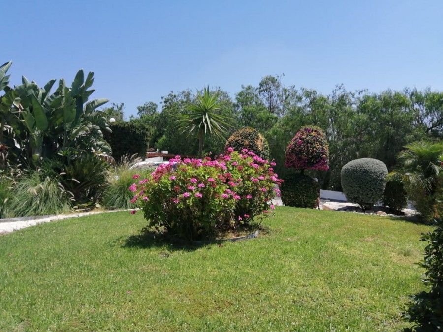 Property photo 3 of 18