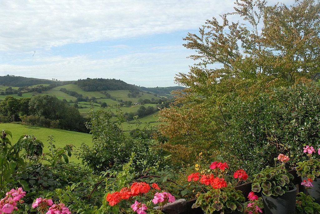 Additional image 28 of 4 bed detached house for saleLlanfyllin, Powys SY22
