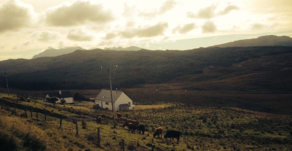 Property photo 1 of 3