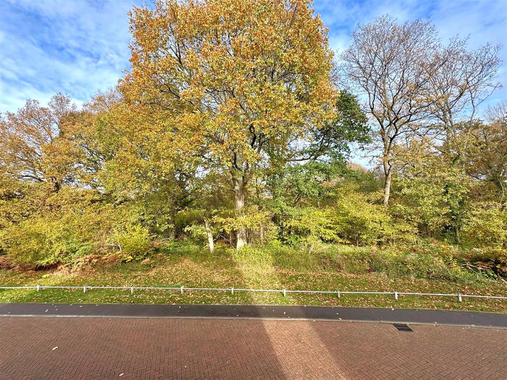 Property photo 3 of 20 View.Jpg