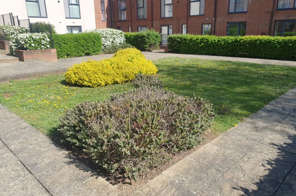 Property photo 2 of 6 Communal Garden