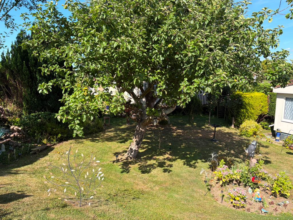 Property photo 3 of 3