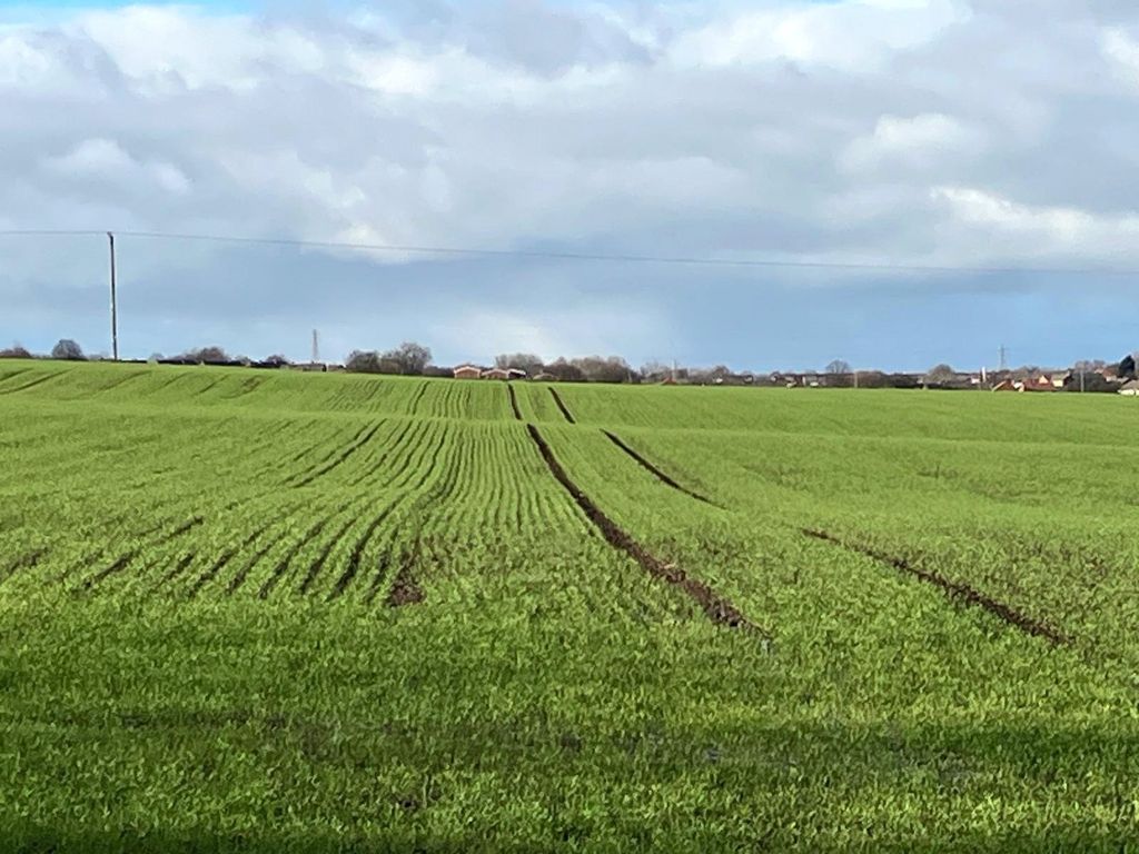 Property photo 2 of 5 Picture No. 06