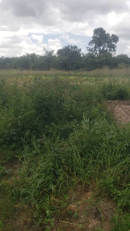 Property photo 2 of 3