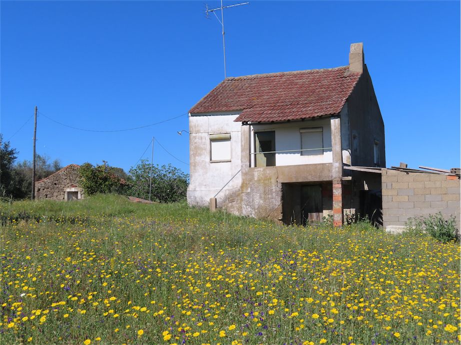 Property photo 1 of 50