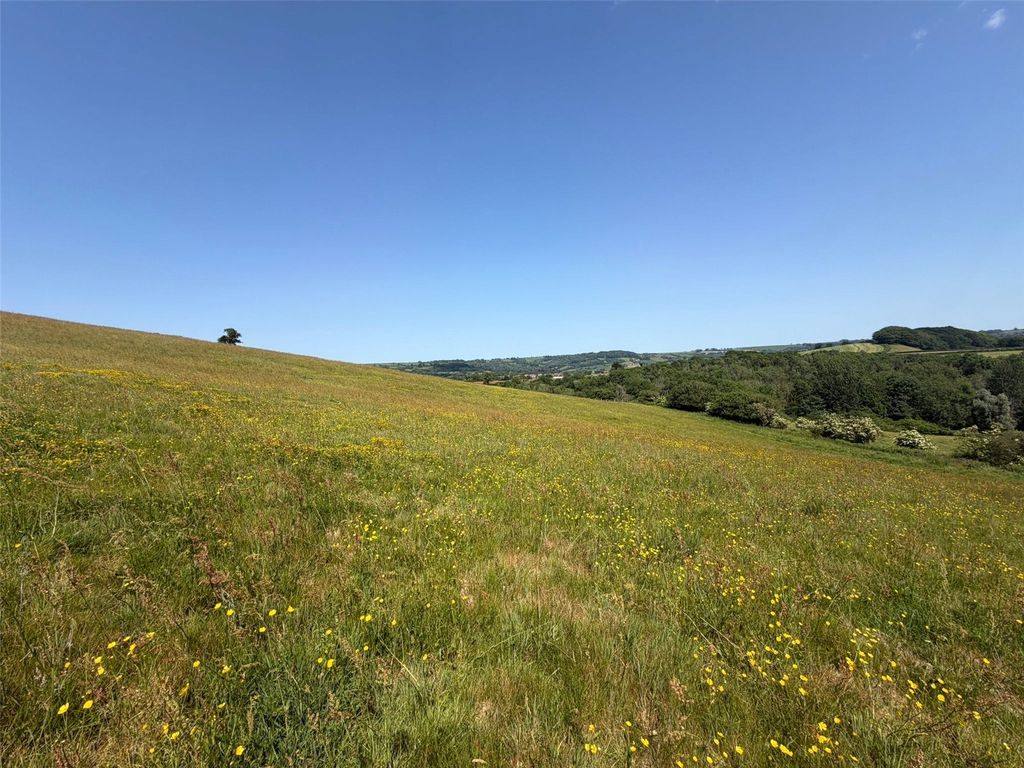 Property photo 2 of 11 Picture No. 06