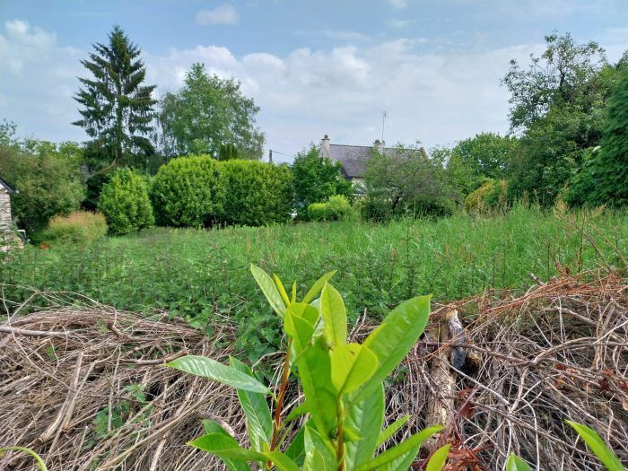 Property photo 1 of 5