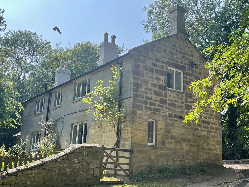 Property photo 1 of 22 24577Acf-40E4-4Ac1-8Bb0-635Bd9Af9891.Jpeg