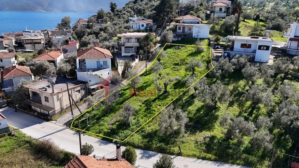 Property photo 3 of 23