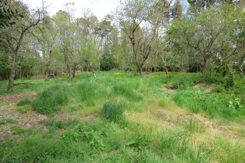 Property photo 1 of 1