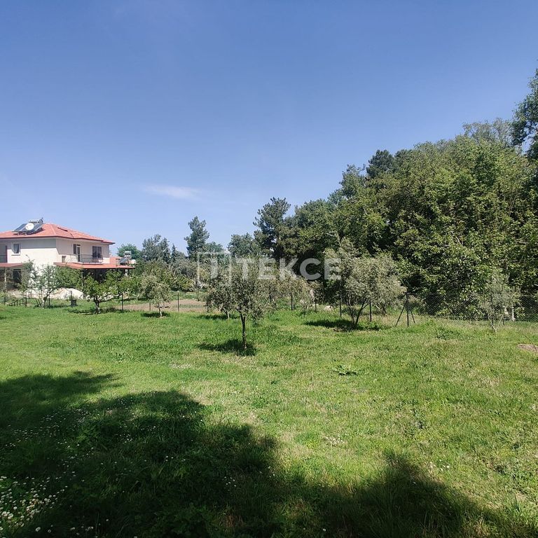 Property photo 1 of 37