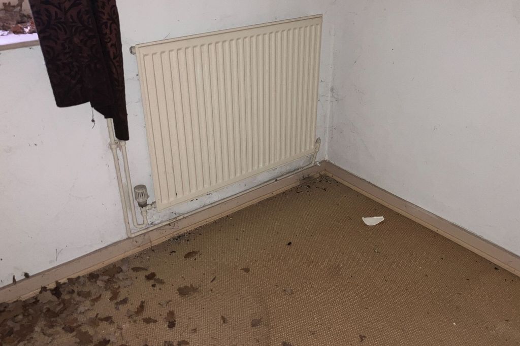 Property photo 3 of 15 Vine Cottage, Vale Croft Woods, Shoe Lane, Farnborough, Hampshire, Gu11 2He