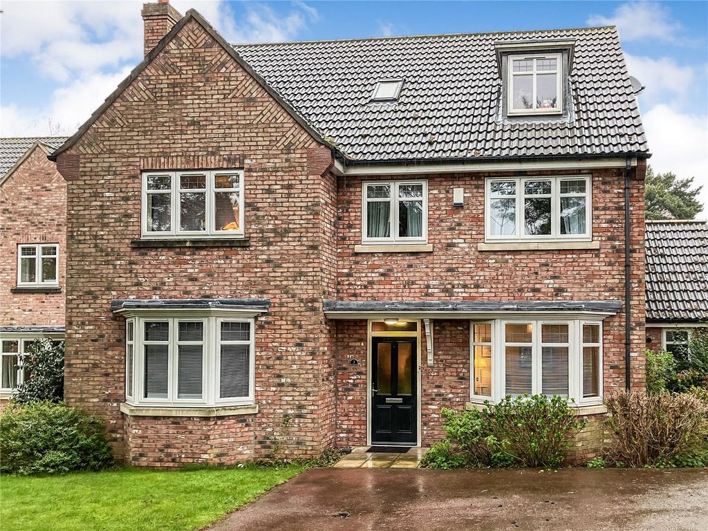 Property photo 1 of 12 Picture No. 12