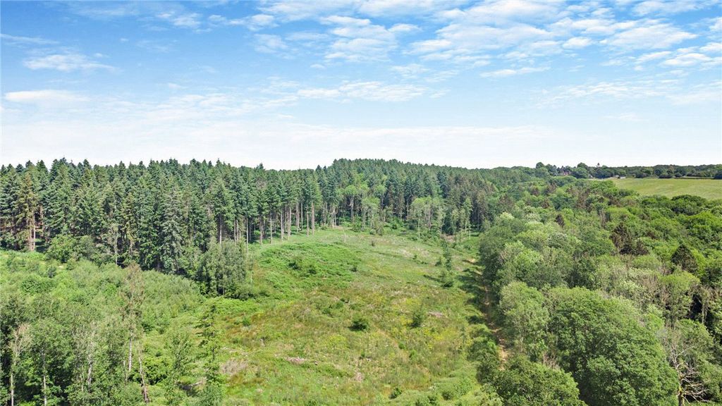 Property photo 2 of 14 Picture No. 11