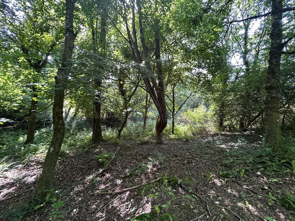 Property photo 3 of 6 Picture No. 03