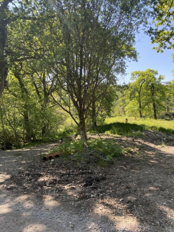 Property photo 1 of 1