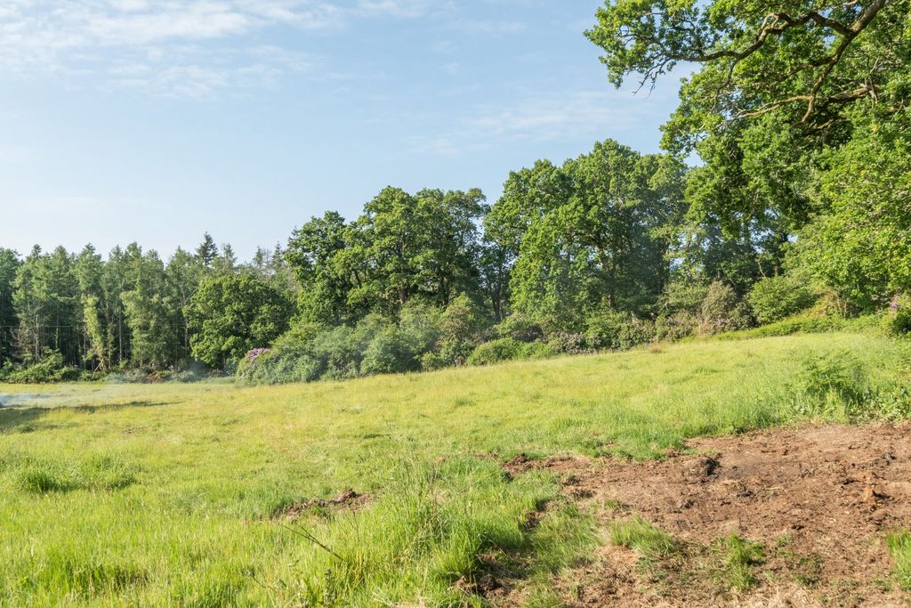 Additional image 9 of Land for saleBramshaw, Lyndhurst, Hampshire SO43