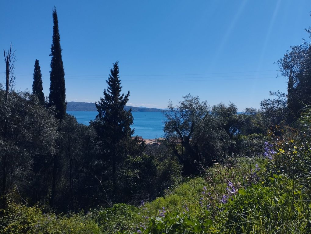 Property photo 3 of 6 Sea View