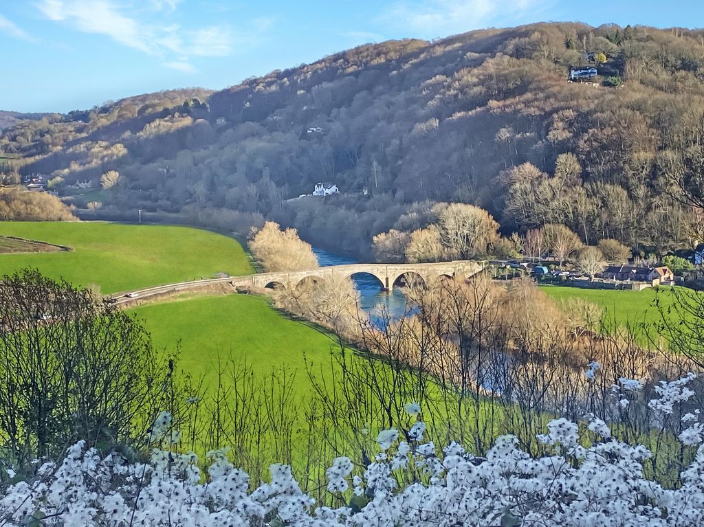 Property photo 2 of 33 Cat's Snaps