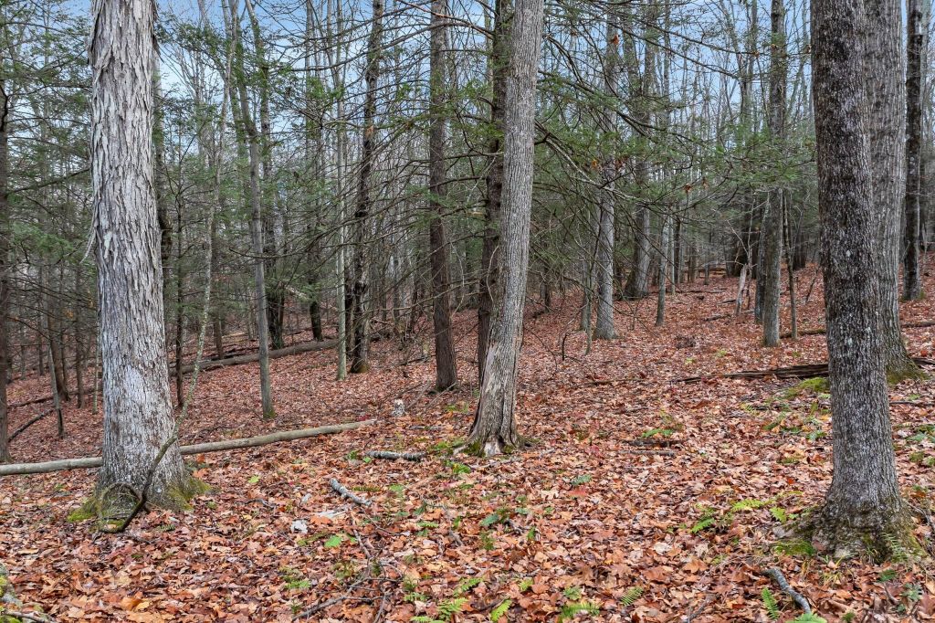 Property photo 3 of 16 <Alttext/>