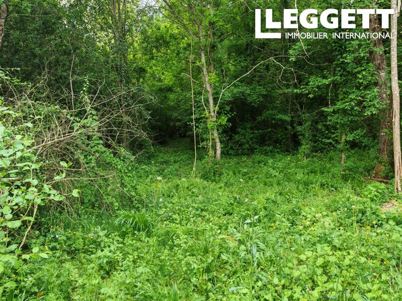 Property photo 3 of 10