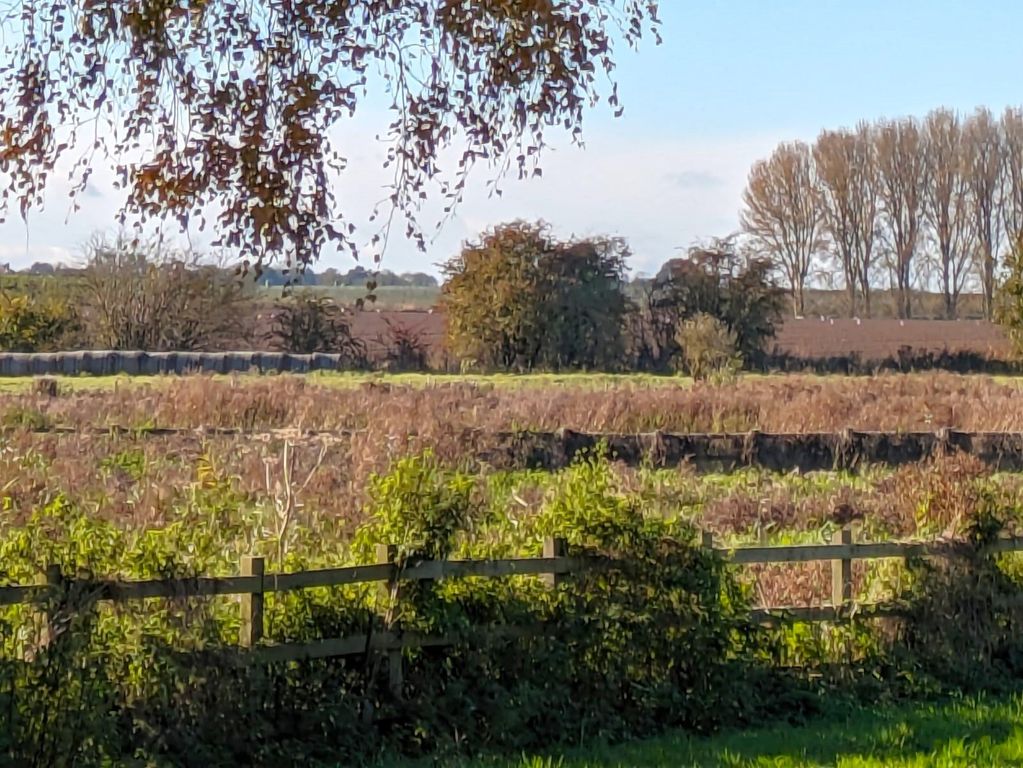 Property photo 3 of 10 Land - Wingham