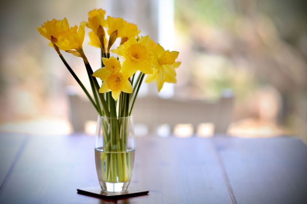 Additional image 12 of 3 bed detached house for saleMoray House, Tintern, Chepstow NP16