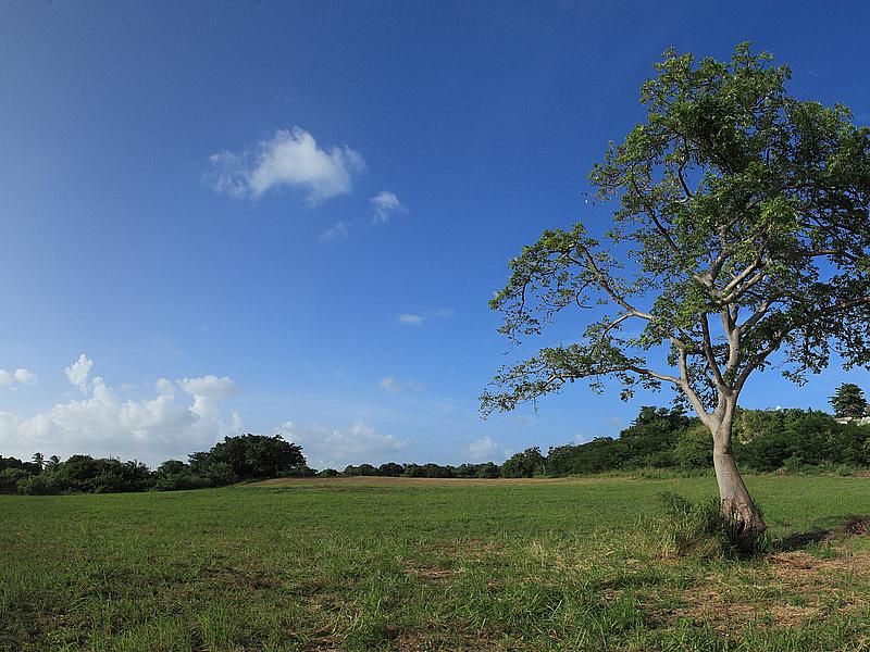 Property photo 3 of 5 Lagoon Land
