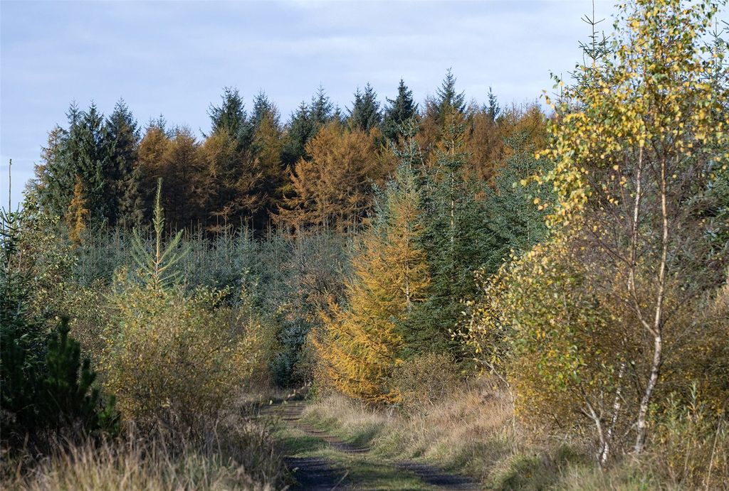 Property photo 3 of 12 Picture No. 07