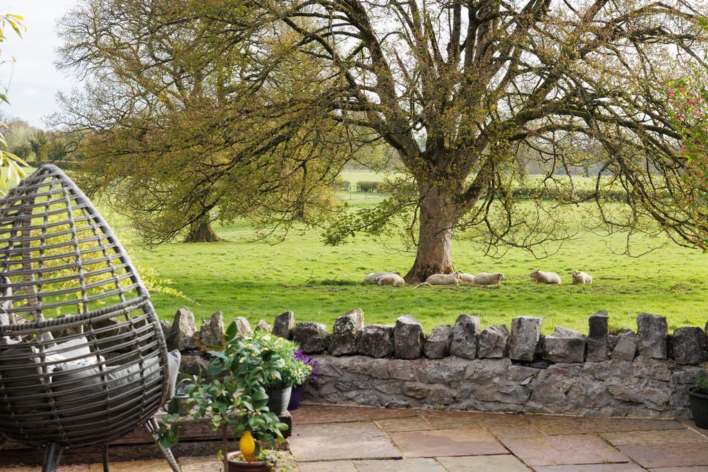 Property photo 3 of 19 50161110