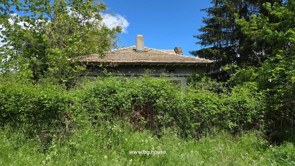 Property photo 2 of 48 View Of A House Mostly Hidden By Thick Bushes And Trees With A Clear Blue Sky Above