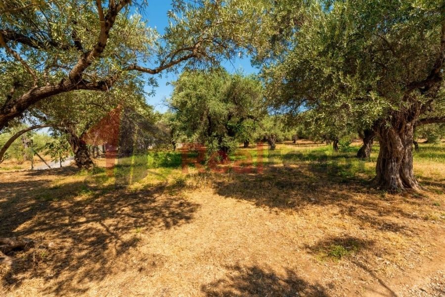 Property photo 3 of 25