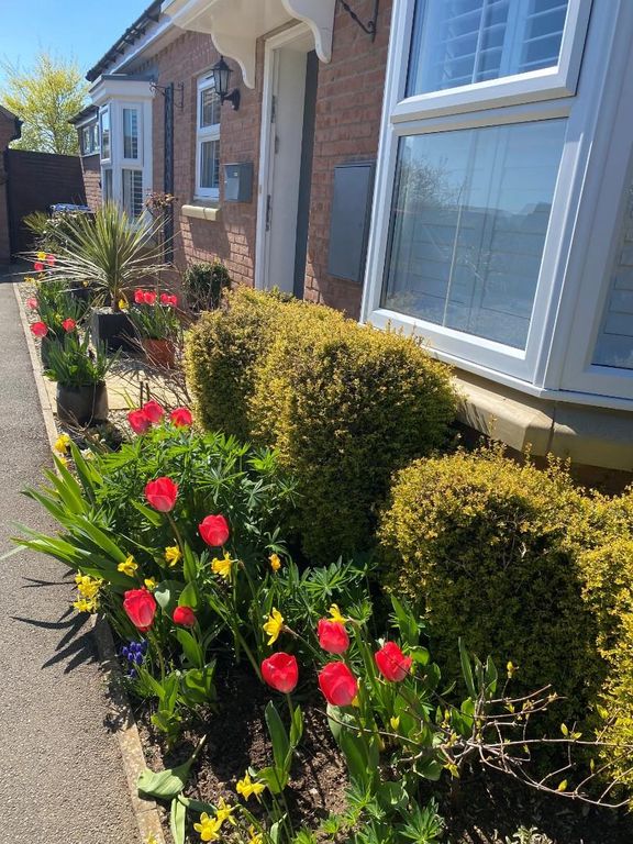 Property photo 2 of 20 Front Shot.Jpg