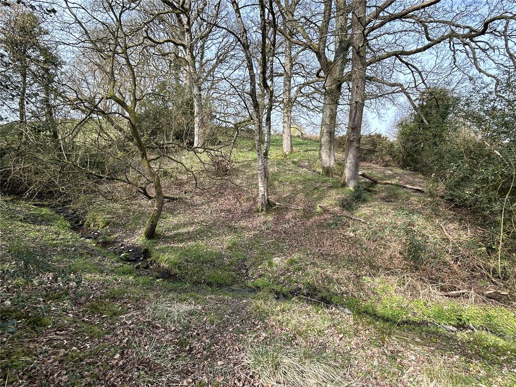 Additional image 11 of Land for saleHollocombe, Chulmleigh, Devon EX18