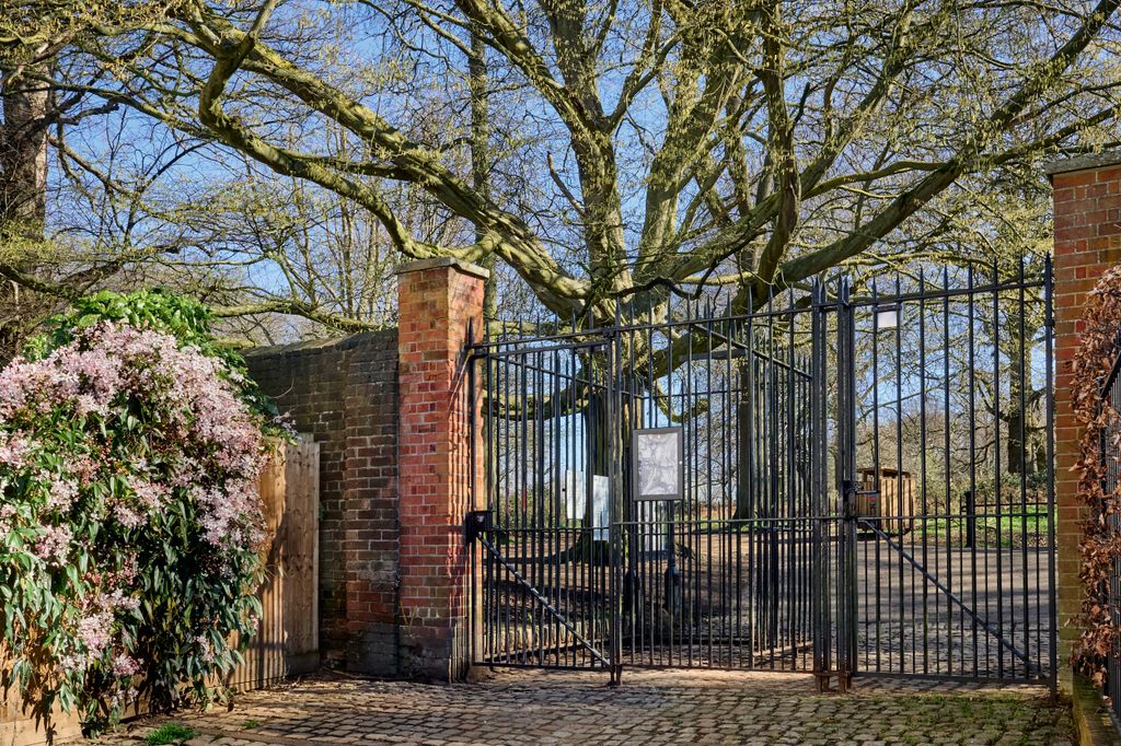 Property photo 3 of 18